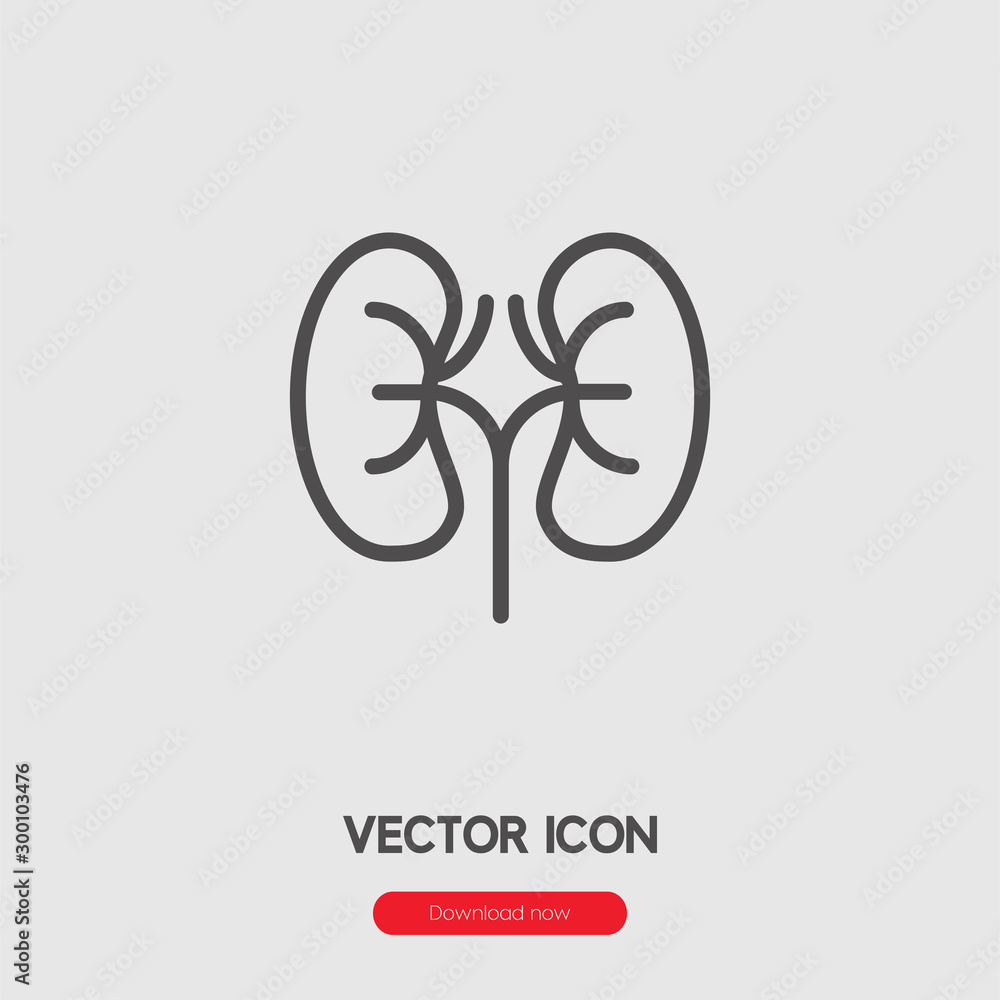 Poster kidney icon vector. linear style sign for mobile concept and web design. kidney symbol illustration.