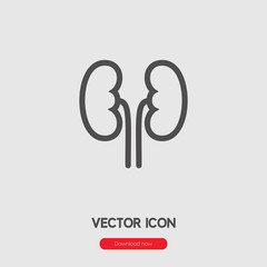 Kidney icon vector. Linear style sign for mobile concept and web design. Kidney symbol illustration. Pixel vector graphics - Vector.	