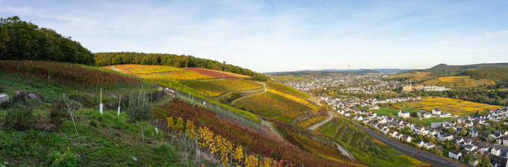 Indian summer on the red wine trail in the Ahr valley