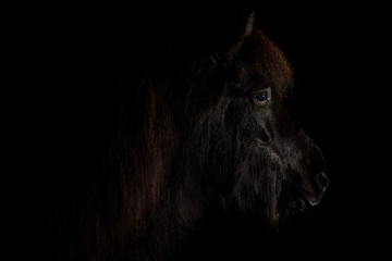 Isl&auml;nder Schwarz