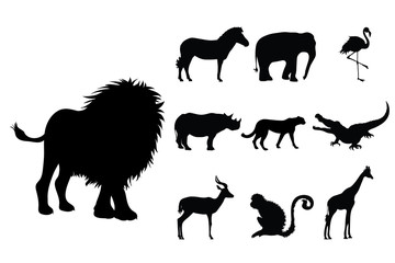 Collection vectors of wild animal on white background. Symbol of lion, elephant, rhinoceros, zoo, Africa, monkey, cheetah, logo, sign.