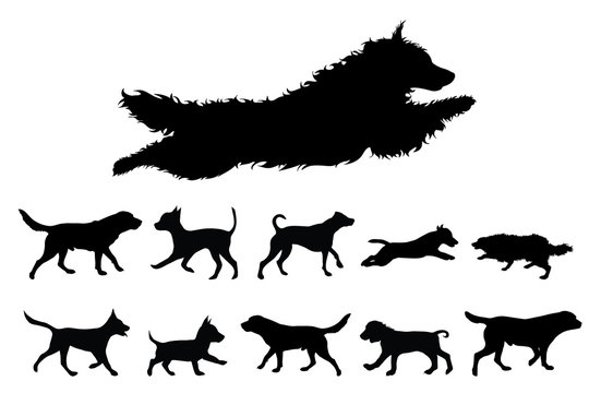 Collection vectors of dogs on white background. Symbol of animal, pet, puppy, run, jump, logo, sign.