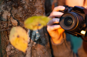 Fotografieren mit Kamera Objektiv von vorn im Herbst bei Abendstimmung Sonnenuntergang im Wald...