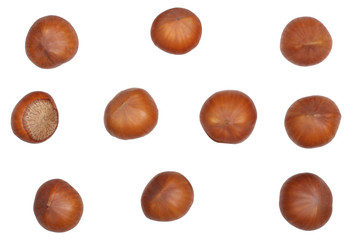 Hazelnuts isolated on white background, top view