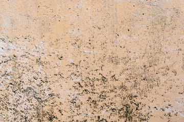 Grunge wall concreted wall for interiors texture background.