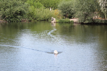 Avifauna Nederland Park. Themed bird zoo.