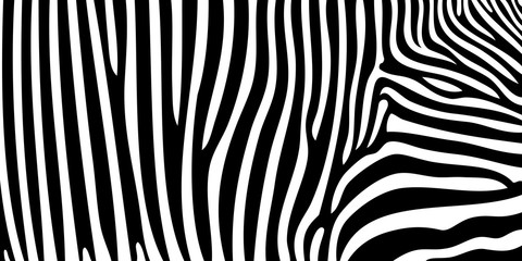 zebra pattern texture tiger white stripe black jungle safari print © Natallia
