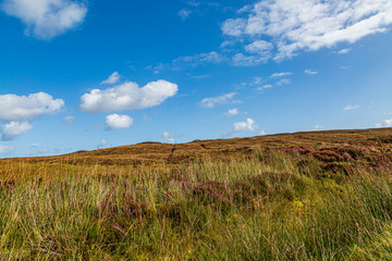 Autumnal colours in the countryside, on the Hebridean island of North Uist