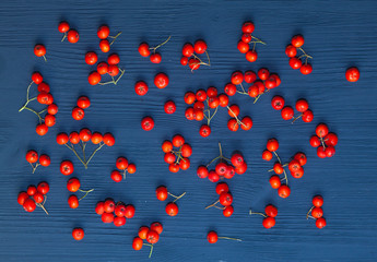 Red Rowan berries are scattered on the dark wooden background
