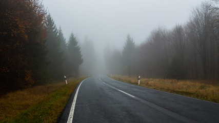 straße durch den wald mit dichtem nebel, vogelsberg 