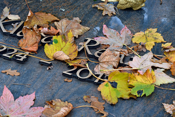 herbst auf dem waldfriedhof mainz-mombach