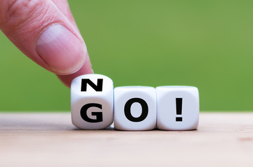 Go/ No-Go in Tender Analysis