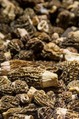 An abundance of morel mushrooms for sale on a market stall