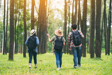 Obraz premium Grupa podróżników spacerujących po pięknym sosnowym lesie