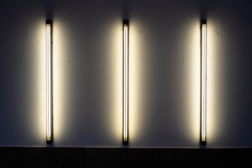 The Art of Light: Neon