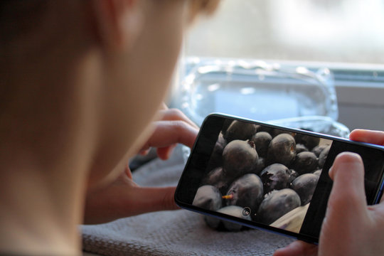Young teenage girl taking photo of blueberries with her smartphone. Mobile photography concept. Female person holding mobile phone and using camera or photo editor