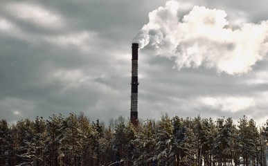 smoke from chimney