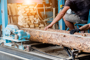 Modern sawmill. Industry sawing boards from logs