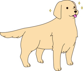 ゴールデンレトリバー（期待）