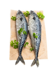 Fresh Mackerels with salt and parsley on baking paper isolated on white