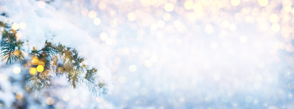 150,455 BEST Snowflake Forest IMAGES, STOCK PHOTOS & VECTORS | Adobe Stock