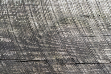 Fototapeta premium texture of natural aged wood