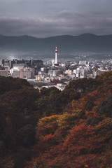 Naklejka premium Kyoto city in autumn