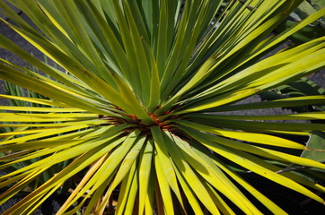 Gr&uuml;n und noch mehr Gr&uuml;n