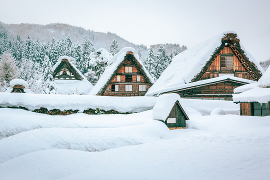 Winter snow Shirakawa go village in japan