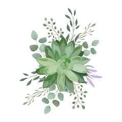 Bouquet with succulent flowers, watercolor, isolated on white. Vector Watercolour.