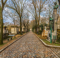 alley in the cemetery