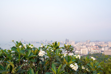 Viewpoint Pattaya Beach in Pattaya city Chonburi,Thailand.