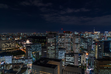Fototapeta premium 東京の景色