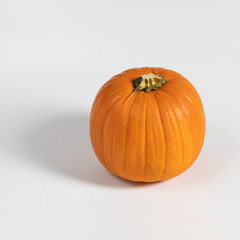 Pumpkin on white background. Ripe orange pumpkin close up. Autumn harvest. Side view, copy space.