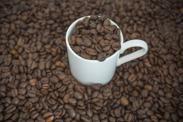 geröstete braune Kaffeebohnen in einer kleinen weißen Tasse auf Bohnen Hintergrund