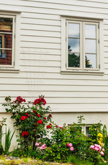 Fototapeta na wymiar Pretty Norwegian cottage with flowers on Ovre Strandgate in the old part of Stavanger known as Gamle Stavanger