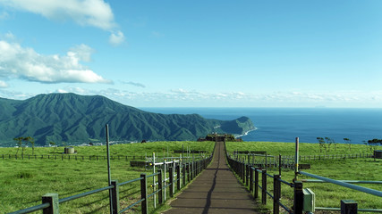 Fototapeta na wymiar 八丈島ふれあい牧場からの雄大な太平洋の眺め