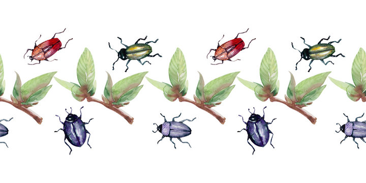 Watercolor background picture Border with beetles