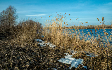 Sunny meadow in autumn. Frozen lake and poplar trees