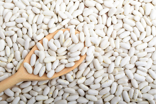 One wooden spoon in many fresh organic white beans in warm light, top view or flat lay of healthy food