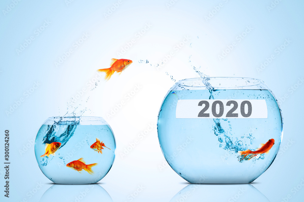 Wall mural Golden fish leaps to aquarium with number 2020 - Wall murals
