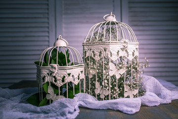 old cage © Резеда Магизова