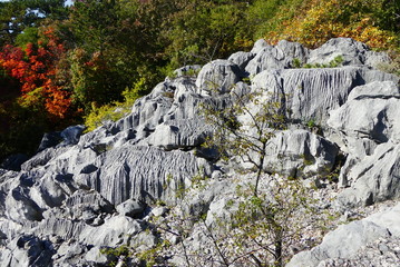 Das Karstgestein bei Duino
