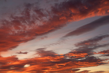 Fototapeta premium Autumn sunrise. Colorful clouds on the sky.