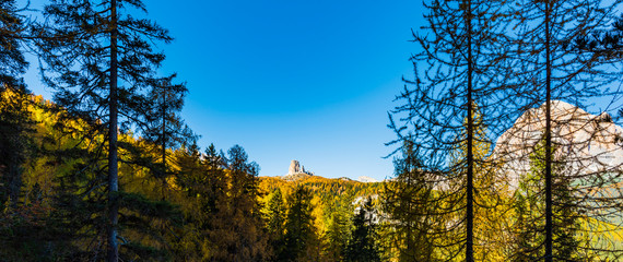 Fototapeta premium Autumn magic. The golden larches frame the magical colors of the woods in the Dolomites. Cortina d'Ampezzo. Italy
