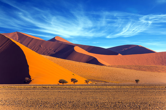 The Namib-Naukluft park at sunset