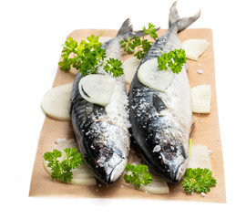 Fresh Mackerels with onion and parsley on baking paper isolated on white