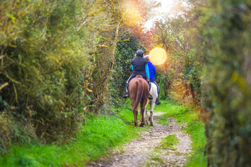 Obraz premium two horse riders walking in the forest in autumn