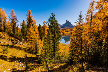 Golden reflections on the Federa lake. Dreamlike Dolomites. Italy