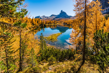 Fototapeta na wymiar Golden reflections on the Federa lake. Dreamlike Dolomites. Italy